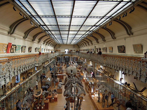 Les-musées